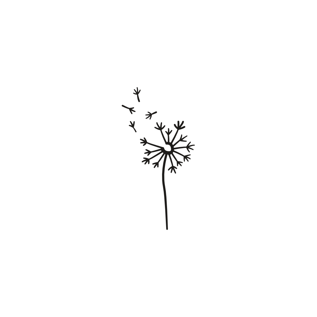 Dandelion