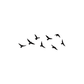 Flock Of Birds Tattoo