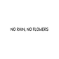 No Rain No Flowers