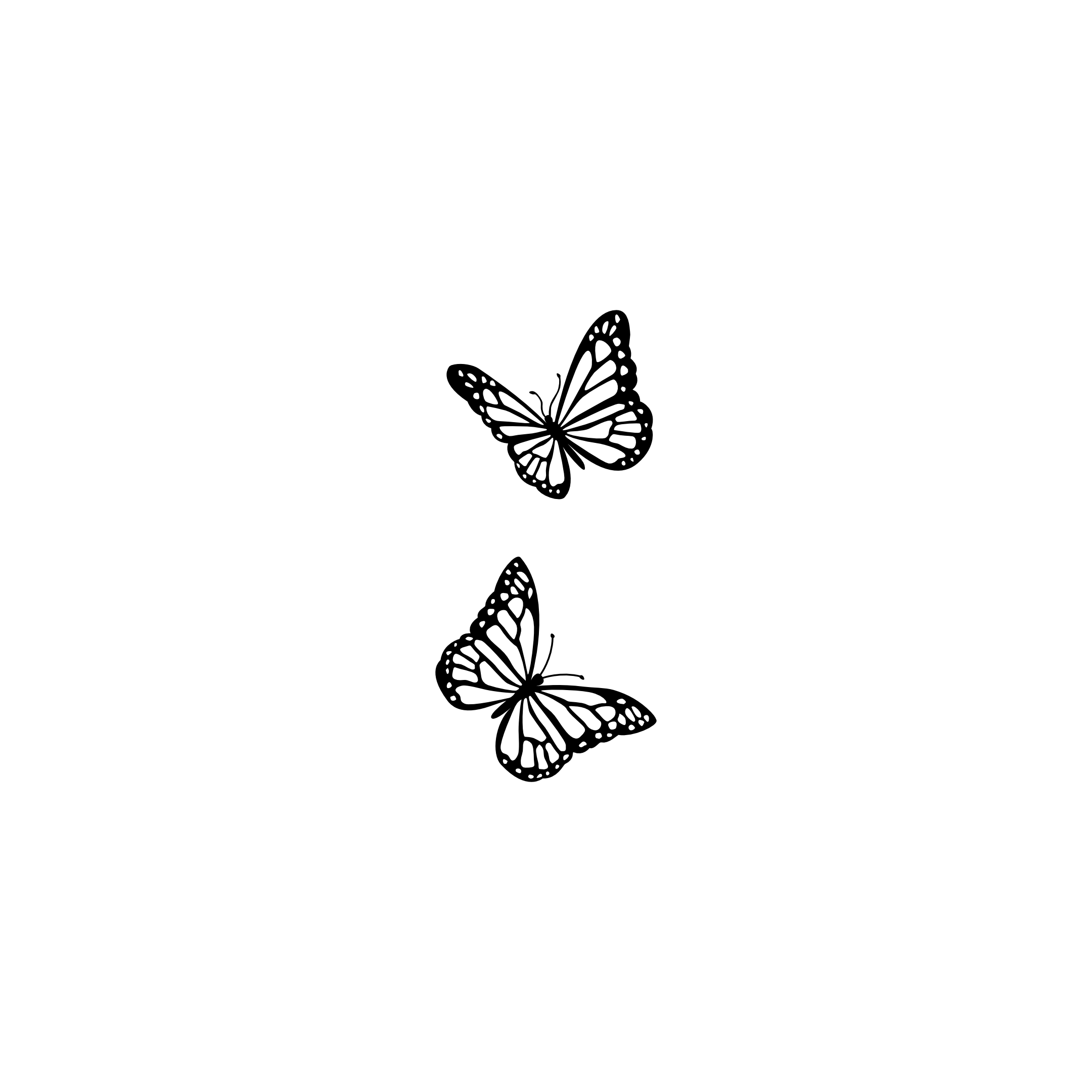 Papillons qui s'envolent